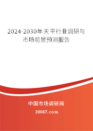 2024-2030年天平行业调研与市场前景预测报告