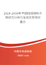 2024-2030年中国微细镍粉市场研究分析与发展前景预测报告