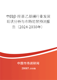 中国β-羟基乙基肼行业发展现状分析与市场前景预测报告（2024-2030年）