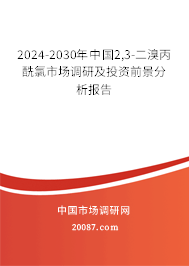 2024-2030年中国2,3-二溴丙酰氯市场调研及投资前景分析报告