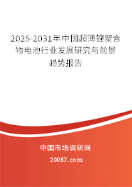 2025-2031年中国超薄锂聚合物电池行业发展研究与前景趋势报告 2025-2031年中国超薄锂聚合物电池行业发展研究与前景趋势报告
