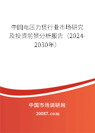 中国电压力煲行业市场研究及投资前景分析报告（2024-2030年）