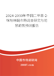 2024-2030年中国二甲基-2-咪唑啉酮市场调查研究与前景趋势预测报告