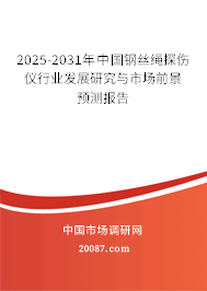 2025-2031年中国钢丝绳探伤仪行业发展研究与市场前景预测报告 2025-2031年中国钢丝绳探伤仪行业发展研究与市场前景预测报告