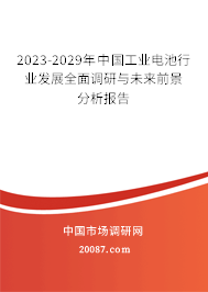 2023-2029年中国工业电池行业发展全面调研与未来前景分析报告