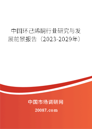 中国环己烯酮行业研究与发展前景报告（2023-2029年）