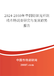 2024-2030年中国铠装光纤跳线市场调查研究与发展趋势报告