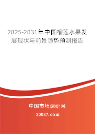 2025-2031年中国榴莲水果发展现状与前景趋势预测报告 2025-2031年中国榴莲水果发展现状与前景趋势预测报告