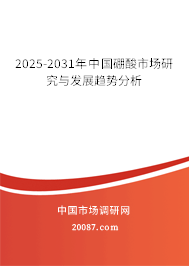 2025-2031年中国硼酸市场研究与发展趋势分析 2025-2031年中国硼酸市场研究与发展趋势分析