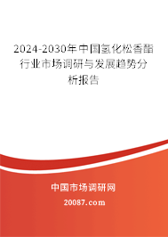 2024-2030年中国氢化松香酯行业市场调研与发展趋势分析报告