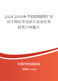 2024-2030年中国球团铁矿烧结市场现状调研与发展前景趋势分析报告