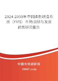 2024-2030年中国柔性制造系统（FMS）市场调研与发展趋势研究报告