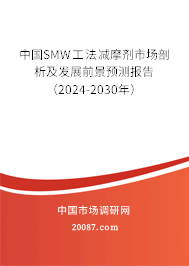 中国SMW工法减摩剂市场剖析及发展前景预测报告（2024-2030年）