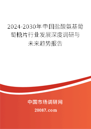 2024-2030年中国盐酸氨基葡萄糖片行业发展深度调研与未来趋势报告