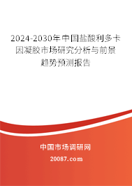 2024-2030年中国盐酸利多卡因凝胶市场研究分析与前景趋势预测报告