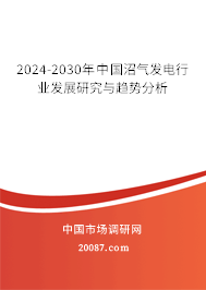 2024-2030年中国沼气发电行业发展研究与趋势分析