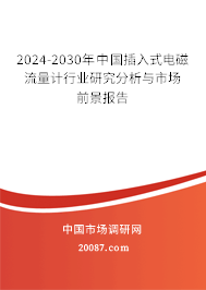 2024-2030年中国插入式电磁流量计行业研究分析与市场前景报告