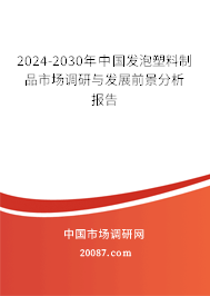 2024-2030年中国发泡塑料制品市场调研与发展前景分析报告