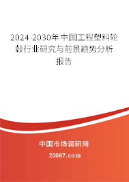 2024-2030年中国工程塑料轮毂行业研究与前景趋势分析报告