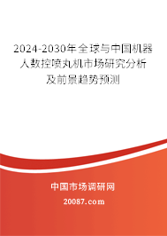 2024-2030年全球与中国机器人数控喷丸机市场研究分析及前景趋势预测