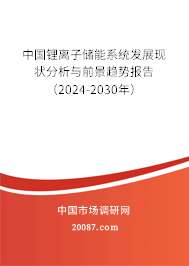 中国锂离子储能系统发展现状分析与前景趋势报告（2024-2030年）