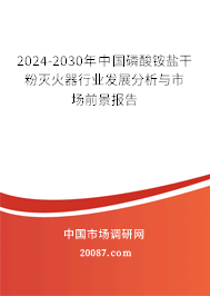 2024-2030年中国磷酸铵盐干粉灭火器行业发展分析与市场前景报告