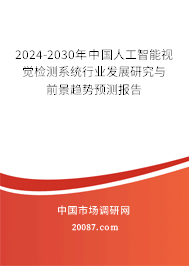 2024-2030年中国人工智能视觉检测系统行业发展研究与前景趋势预测报告