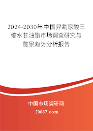 2024-2030年中国异氰尿酸三缩水甘油酯市场调查研究与前景趋势分析报告