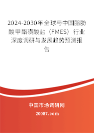 2024-2030年全球与中国脂肪酸甲酯磺酸盐（FMES）行业深度调研与发展趋势预测报告