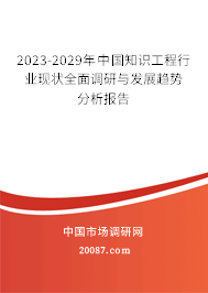 2023-2029年中国知识工程行业现状全面调研与发展趋势分析报告