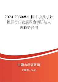 2024-2030年中国中小尺寸触摸屏行业发展深度调研与未来趋势预测