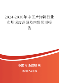 2024-2030年中国片弹簧行业市场深度调研及前景预测报告