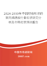 2024-2030年中国初级形状的聚丙烯酰胺行业现状研究分析及市场前景预测报告