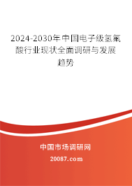 2024-2030年中国电子级氢氟酸行业现状全面调研与发展趋势