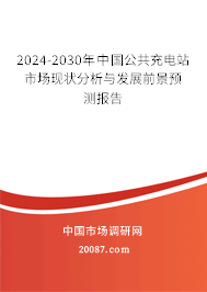 2024-2030年中国公共充电站市场现状分析与发展前景预测报告