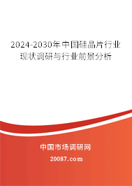 2024-2030年中国硅晶片行业现状调研与行业前景分析