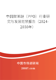 中国聚苯醚（PPO）行业研究与发展前景报告（2024-2030年）