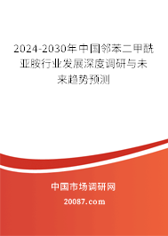 2024-2030年中国邻苯二甲酰亚胺行业发展深度调研与未来趋势预测