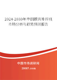 2024-2030年中国模具补焊机市场分析与趋势预测报告