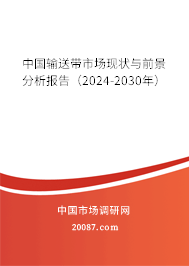 中国输送带市场现状与前景分析报告（2024-2030年）