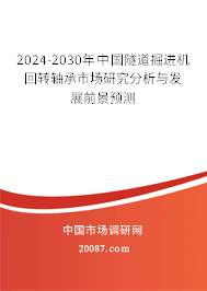 2024-2030年中国隧道掘进机回转轴承市场研究分析与发展前景预测