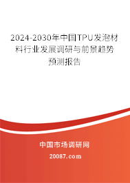 2024-2030年中国TPU发泡材料行业发展调研与前景趋势预测报告