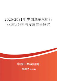 2025-2031年中国洗车水枪行业现状分析与发展前景研究 2025-2031年中国洗车水枪行业现状分析与发展前景研究