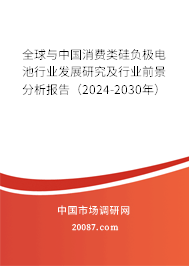 全球与中国消费类硅负极电池行业发展研究及行业前景分析报告（2024-2030年）