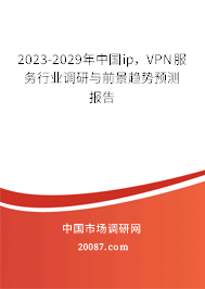 2023-2029年中国ip，VPN服务行业调研与前景趋势预测报告