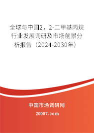 全球与中国2，2-二甲基丙烷行业发展调研及市场前景分析报告（2024-2030年）