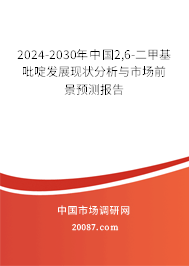 2024-2030年中国2,6-二甲基吡啶发展现状分析与市场前景预测报告