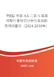 中国2-甲基-4,6-二氯-5-氨基嘧啶行业研究分析与发展趋势预测报告（2024-2030年）