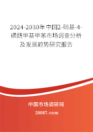 2024-2030年中国2-硝基-4-磺酰甲基甲苯市场调查分析及发展趋势研究报告