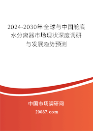 2024-2030年全球与中国舱底水分离器市场现状深度调研与发展趋势预测